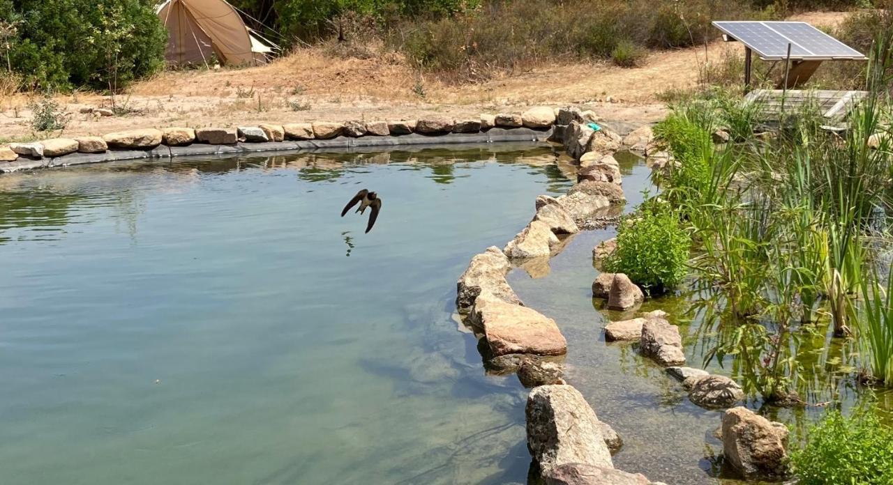 Ecovita Agri-Glamping ซาน วิโต ภายนอก รูปภาพ
